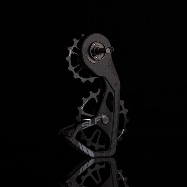 SLF Motion EVO System